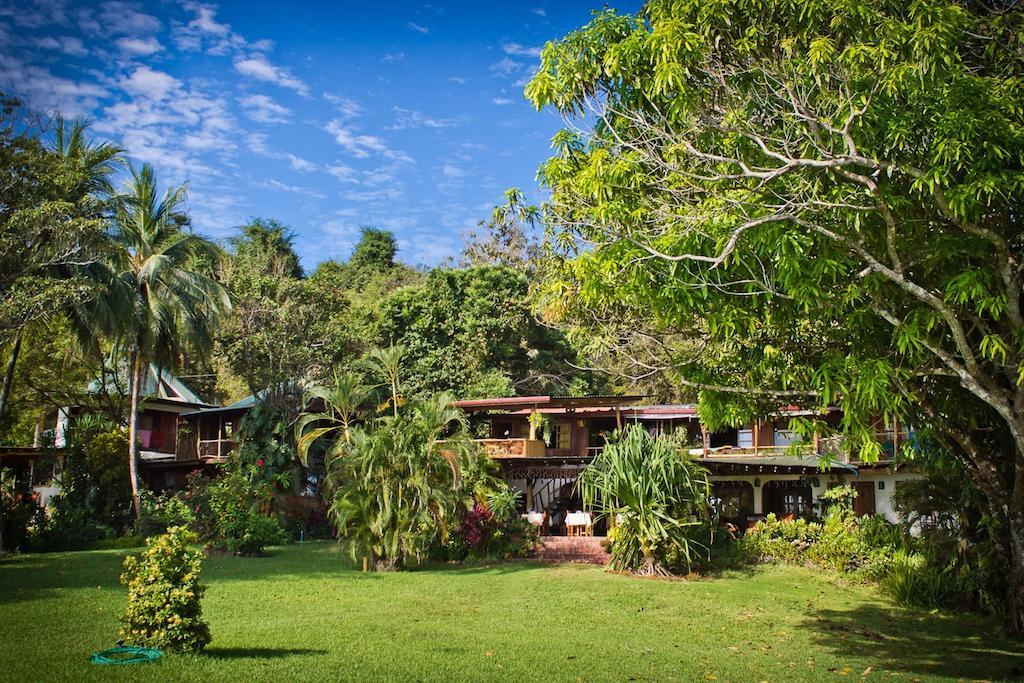 Hotel Amor De Mar Montezuma Exteriör bild
